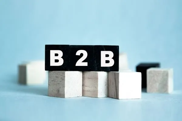 B2B: BUSINESSES & COMPANIES